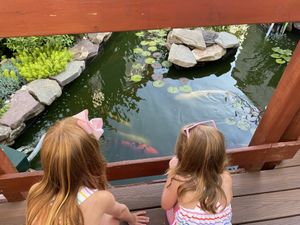 Beautiful restaurant with several ponds at The Cultured Pearl in Rehoboth Beach