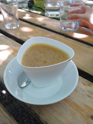 Lemonade cream at Esbioesfera in Cardedeu