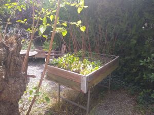 Their own vegetable garden at Esbioesfera in Cardedeu