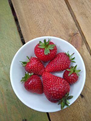 Fruita del temps (local) / Local seasonal fruit at Esbioesfera in Cardedeu