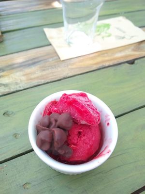 Sorbet de gerds i maduixa at Esbioesfera in Cardedeu