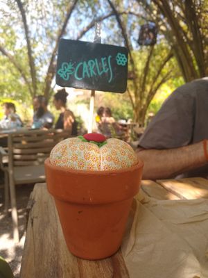 . at Esbioesfera in Cardedeu