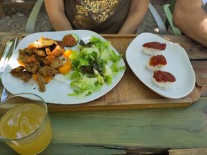  at Esbioesfera in Cardedeu