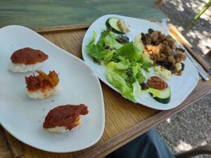  at Esbioesfera in Cardedeu