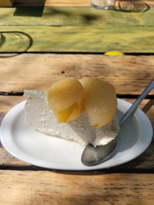  at Esbioesfera in Cardedeu