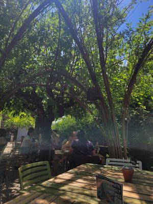  at Esbioesfera in Cardedeu