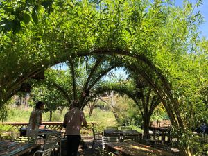 Hort  at Esbioesfera in Cardedeu