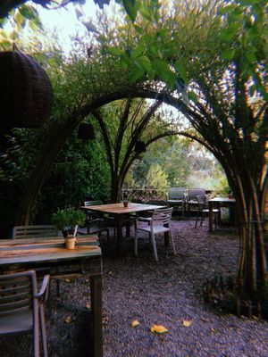 Ambient molt bonic at Esbioesfera in Cardedeu