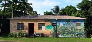 Soo Soom Ba is easy to spot along the road because it's hand-painted by a local artist.  at  Soo Soom Ba Vegetarian  in Hope Bay