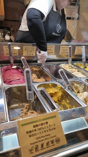 Close up ice cream display at Premarché Gelateria in Kyoto