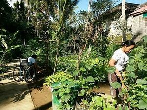 organic garden 1 at Shiny Pearl Ubud Foundation Organic Garden in Tampaksiring