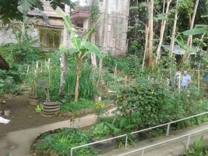 organic garden at Shiny Pearl Ubud Foundation Organic Garden in Tampaksiring