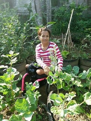 Sayur Hijau Organic at Shiny Pearl Ubud Foundation Organic Garden in Tampaksiring