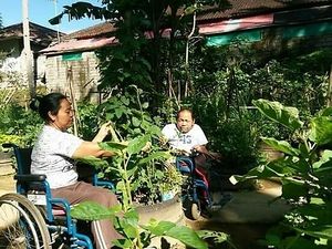 Organic Garden at Shiny Pearl Ubud Foundation Organic Garden in Tampaksiring