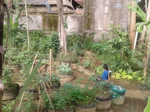 Organic Garden at Shiny Pearl Ubud Foundation Organic Garden in Tampaksiring