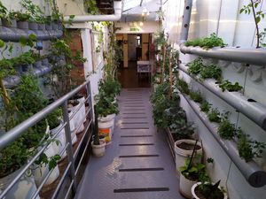  at Nuna Raymi in Cusco