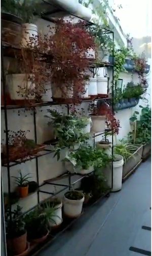 Hosta no corredor de entrada como um portal at Nuna Raymi in Cusco