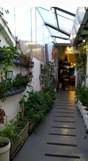  at Nuna Raymi in Cusco