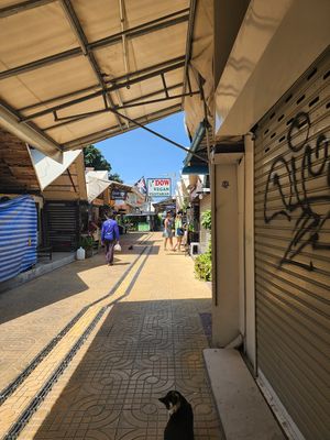  at Dow Vegan Restaurant in Koh Phi Phi