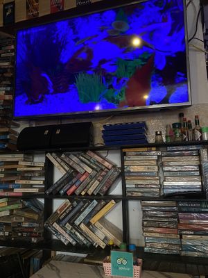 More bookshelves!   at Dow Vegan Restaurant in Koh Phi Phi