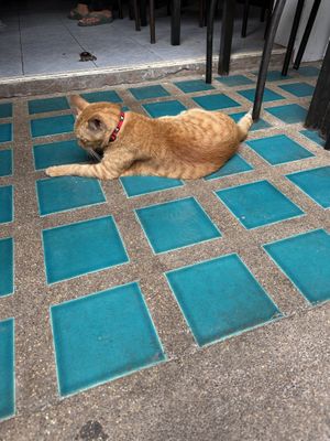   at Dow Vegan Restaurant in Koh Phi Phi