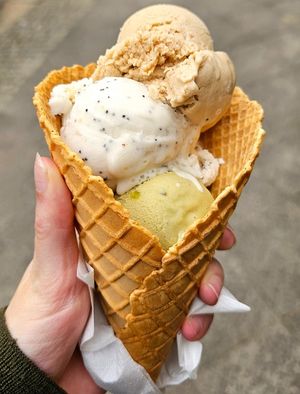 Hazelnut baobab, lemon poppyseed, pistachio lucuma at Tribeca Ice Cream in Berlin