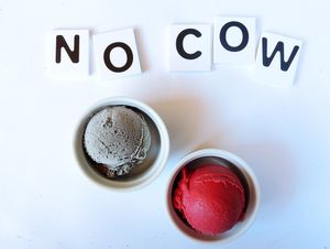 Vegan ice cream and Superfoods at Tribeca Ice Cream in Berlin