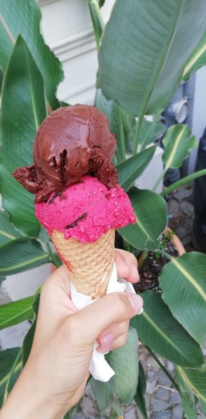 Sour cherry cookie dough and raw chocolate ice cream at Tribeca Ice Cream in Berlin