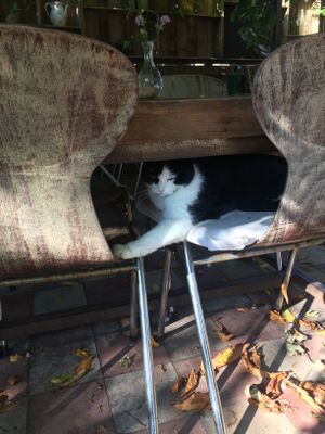 Some company  at De Zeeuwse Hemel in Zierikzee