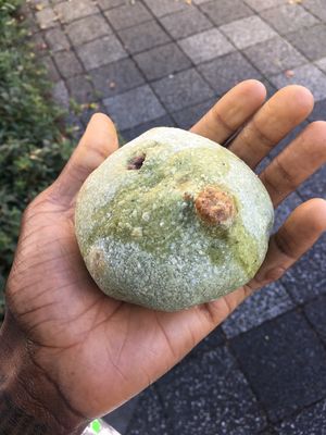 Salted matcha bun with red bean paste at Alpenrose in Kyoto