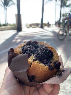  at Apple a Day Store & Cafe in Miami Beach