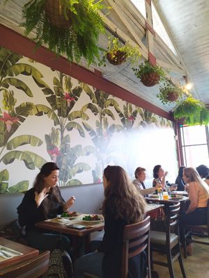  at Vaca Verde in Sao Paulo