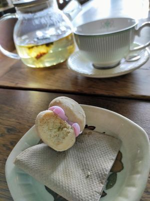 Melting moment, devine and fresh herbal tea at Portershed in Christchurch