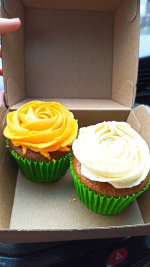  at Portershed in Christchurch