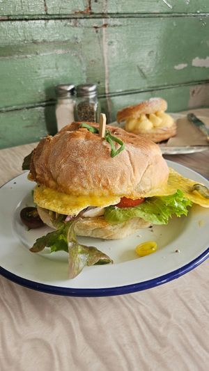  at Portershed in Christchurch