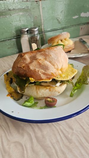  at Portershed in Christchurch