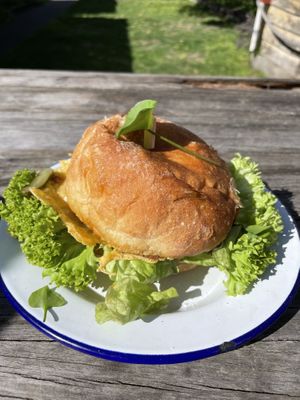 Mine without cheaps  at Portershed in Christchurch