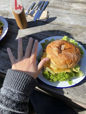 Size comparison  at Portershed in Christchurch