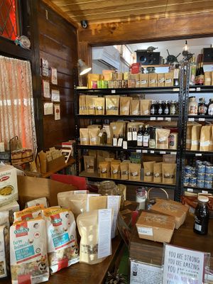   at Portershed in Christchurch