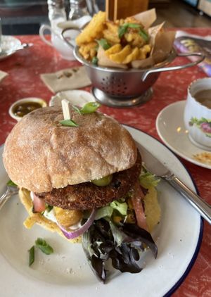   at Portershed in Christchurch