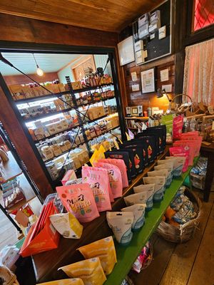  at Portershed in Christchurch