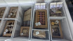  at Portershed in Christchurch