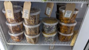  at Portershed in Christchurch