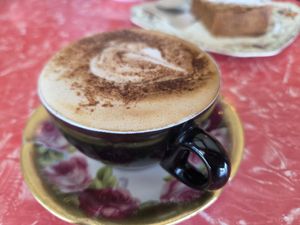 Capp at Portershed in Christchurch