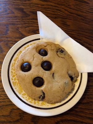 Cookie  at Portershed in Christchurch