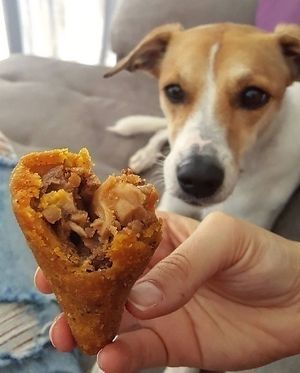 Coxinha de shimeji at Casa da Coxinha Vegana in Sao Paulo