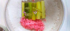 Poireaux et granité de radis at Humus x Hortense in Brussels