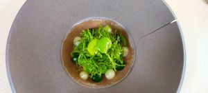 Fèves des marais  at Humus x Hortense in Brussels