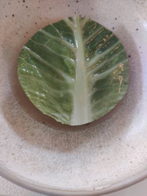 Chou spécialité portugaise at Humus x Hortense in Brussels