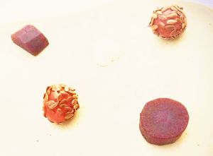  at Humus x Hortense in Brussels